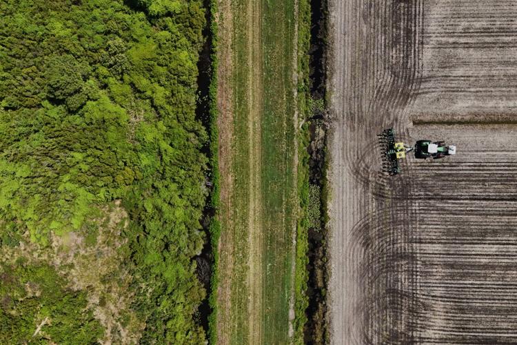 APTOPIX Climate Peatlands Restoration
