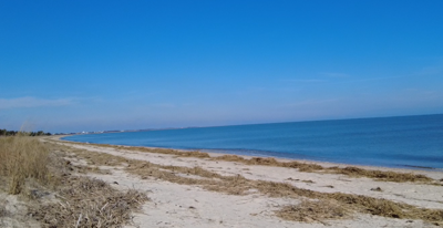 Restoring Delaware's Bayshore: A new agreement between DNREC and the Army Corps of Engineers
