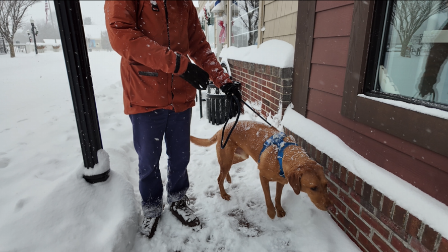 Jez walking his dog Woody