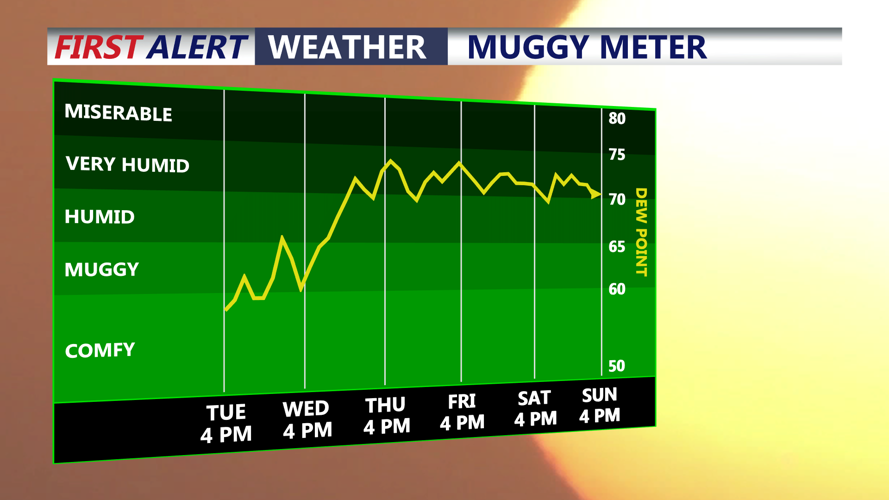 MUGGY METER