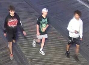 OCPD Suspects