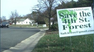 Planning Update: Lewes 4th St. Forest