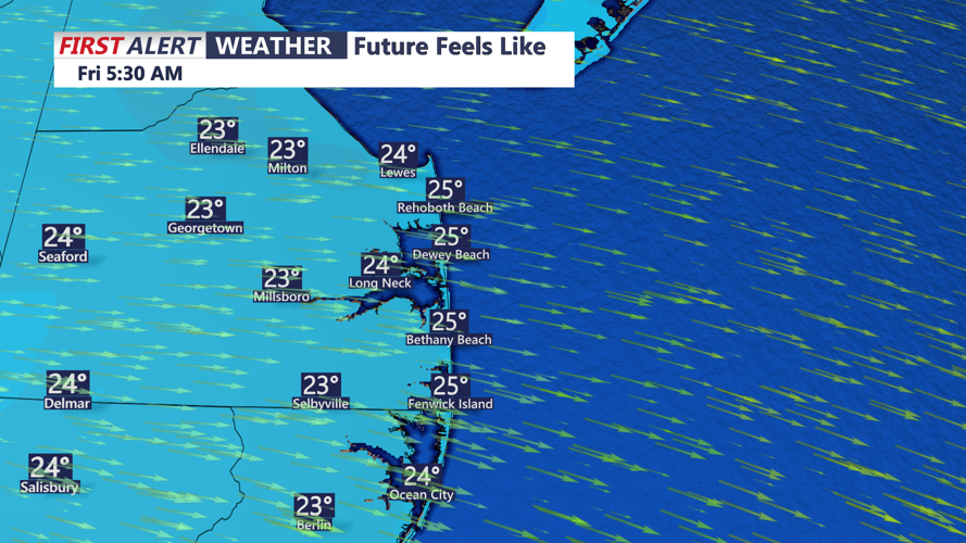 FUTURE FEELS LIKE FORECAST MODEL