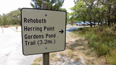 Cape Henlopen State Park