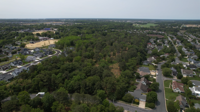 4th Street Forest