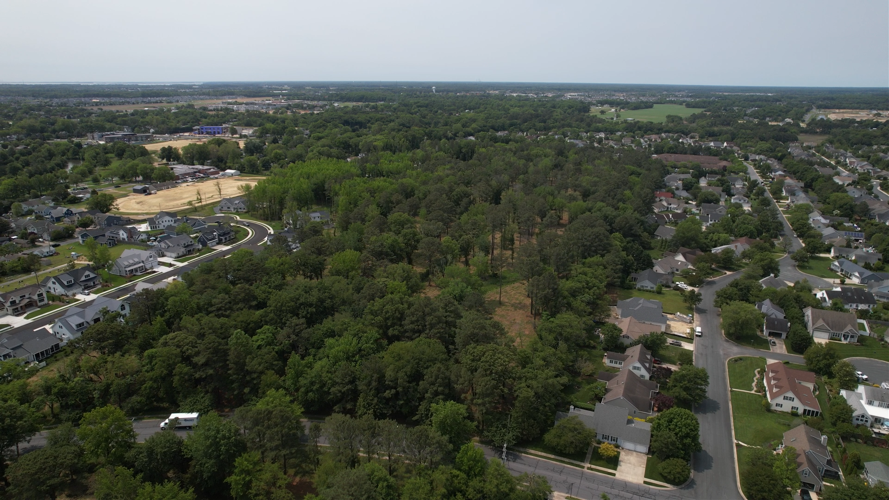 4th Street Forest