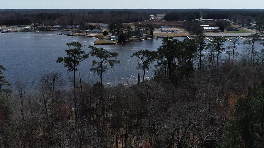 New Blooms and New Art, The Delaware Botanic Gardens at Pepper Creek Reopens