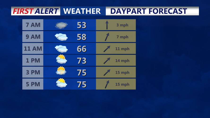 DAYPART FORECAST