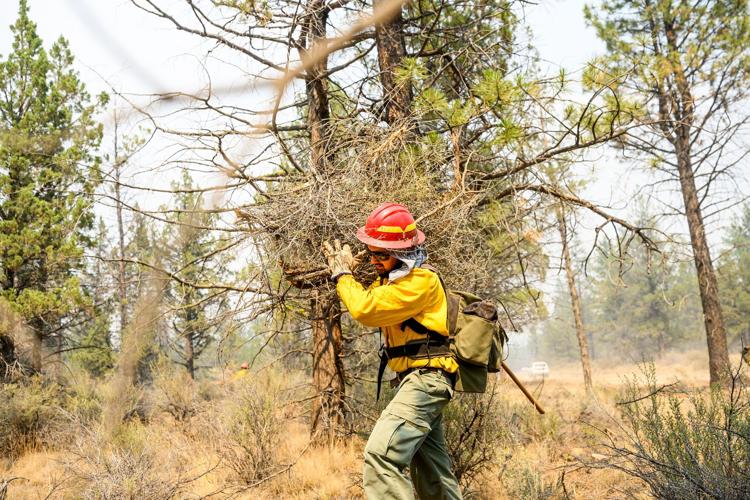 Oregon Wildfires