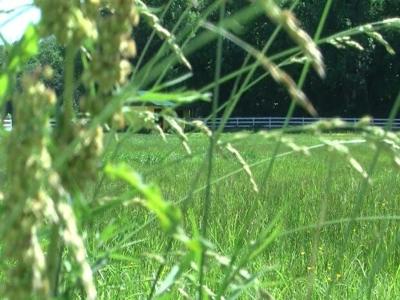 Delaware's 2nd Ever Fatal Human Case of Rabies