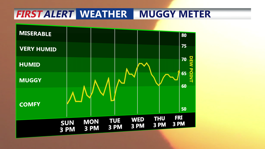 Muggy Meter