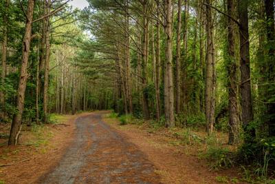 trail
