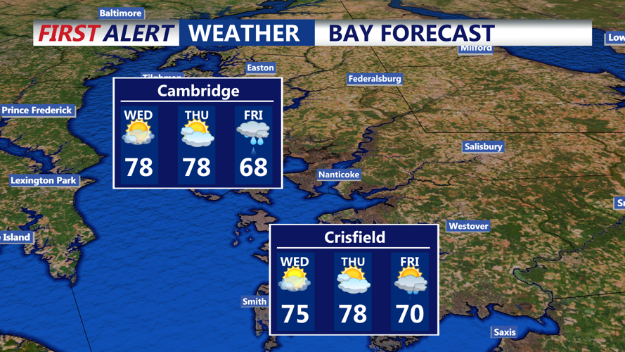 BAY FORECAST