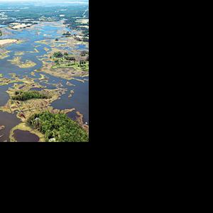 Newport Bay Partnership awarded $2M for watershed restoration projects