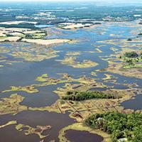 Newport Bay Partnership awarded $2M for watershed restoration projects