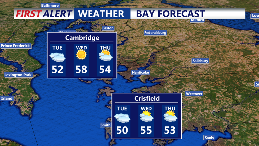 BAY FORECAST