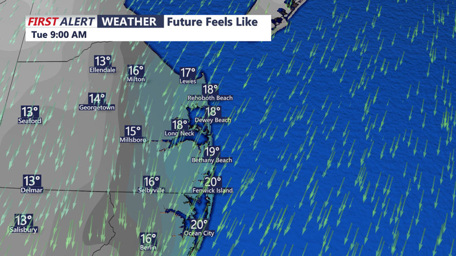 FUTURECAST WIND CHILLS (TUESDAY MORNING 2)