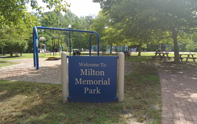 An overgrowth of trees in Memorial Park has led to a new proposal to honor loved ones