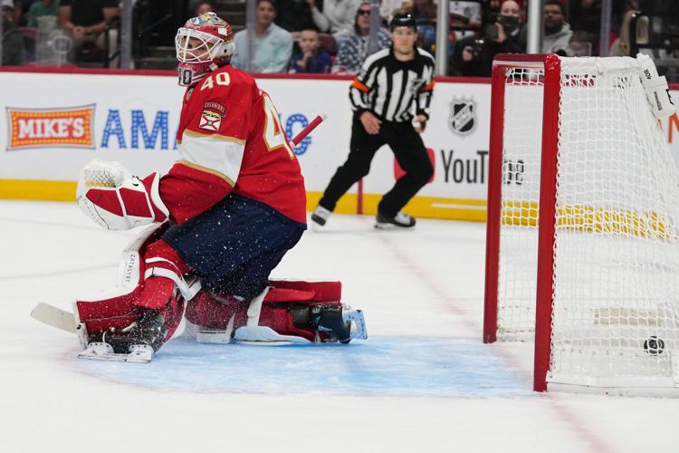 Canucks Panthers Hockey