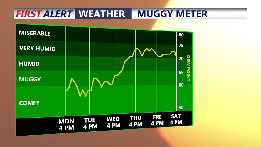 muggy meter