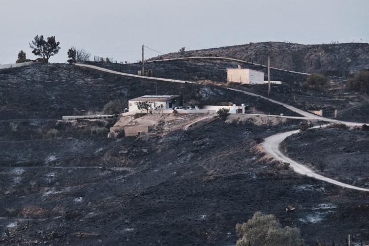 Spain Wildfire