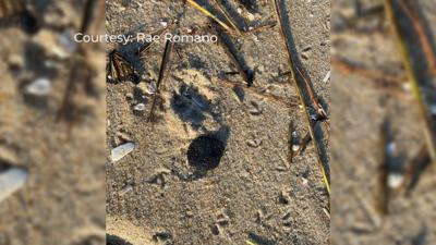 Oil Spill Day Three, Locals See Oil Spots Heading South