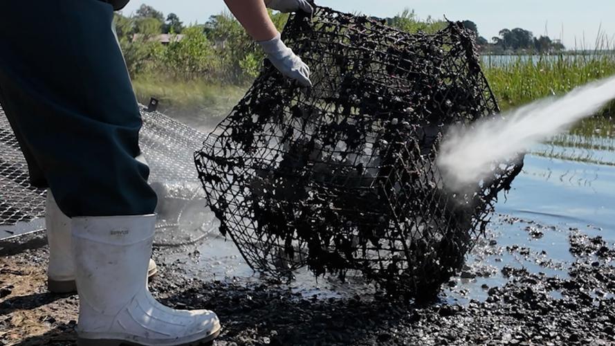 power washing the crab pots