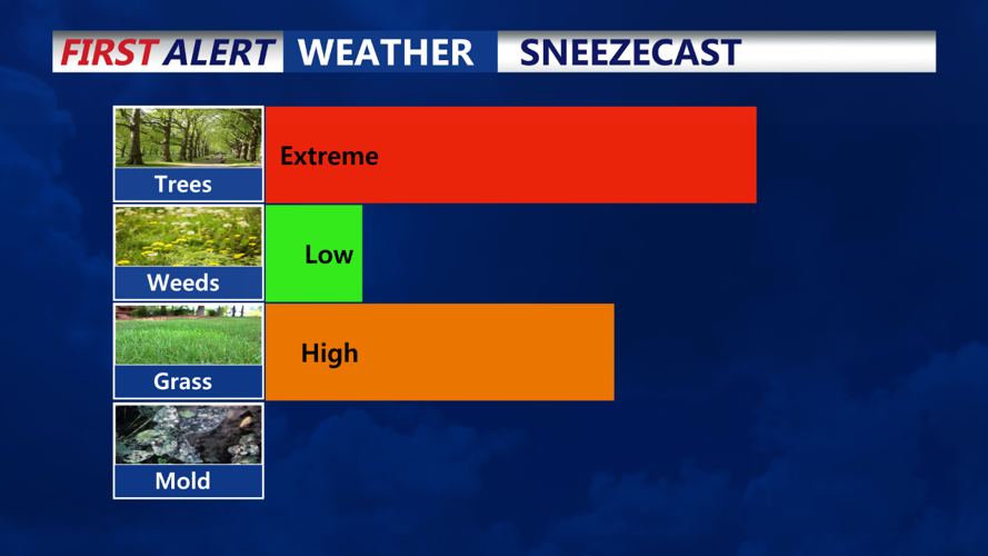 Sneezecast