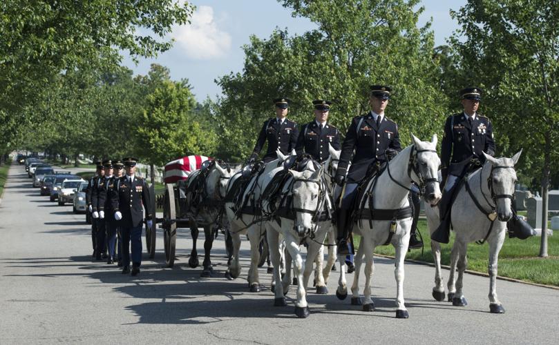 Army Horses