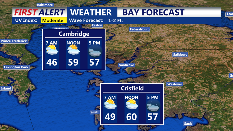 BAY FORECAST