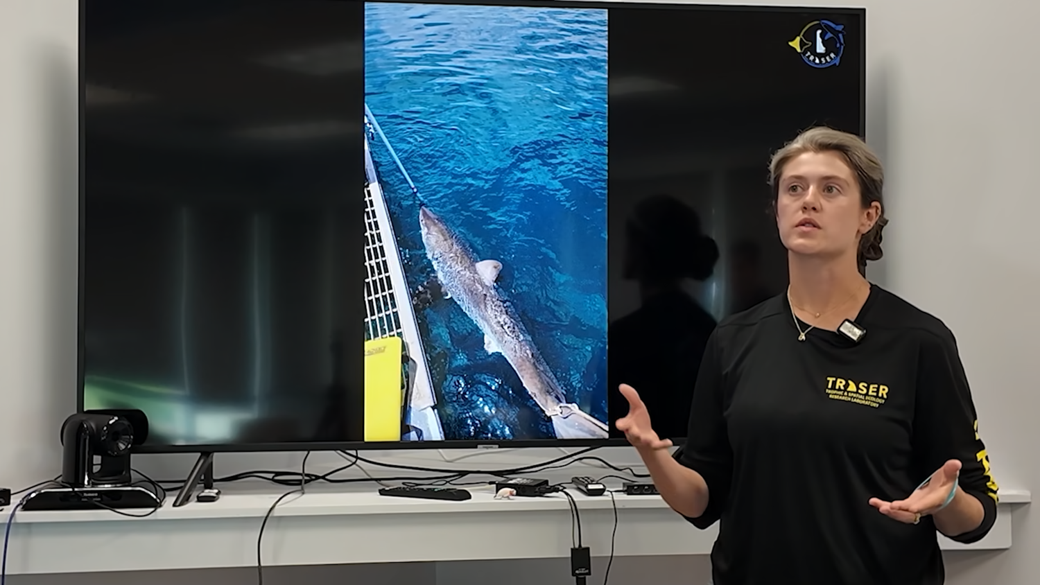 Coastal Connections: Methods to better predict future storms