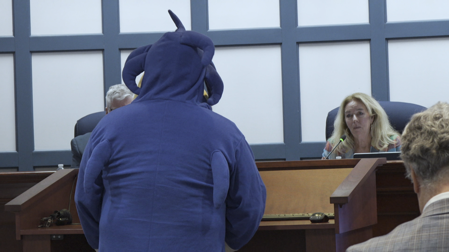 Hedgehog addressing council