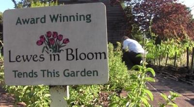 Lewes Wins America In Bloom Awards