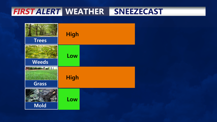 SNEEZECAST