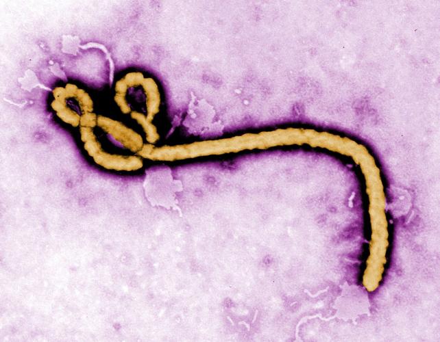 Congo Ebola