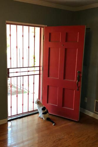 America 250 Objects Screen Door
