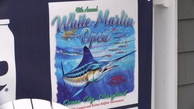 Preparations Underway For 48th Annual White Marlin Open