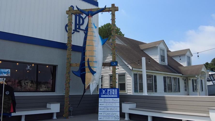 White Marlin Open
