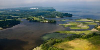 One dam at a time, hundreds of miles of lost fish highways are being reopened in the Chesapeake Bay
