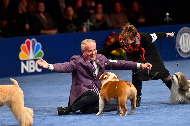 The dog show starts at 12 p.m. on Thursday. You can watch on WRDE.
