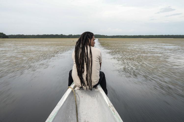 Climate Colombia Invasive Plants