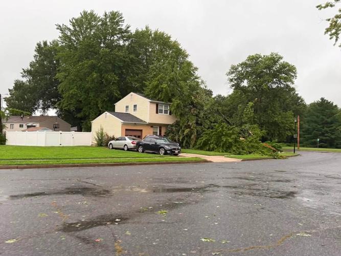 Tree fallen on a house.