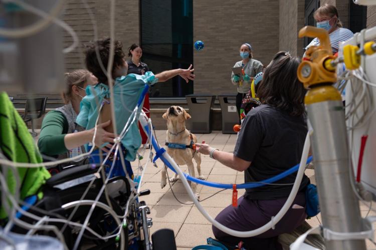 Children's Hospitals Dogs