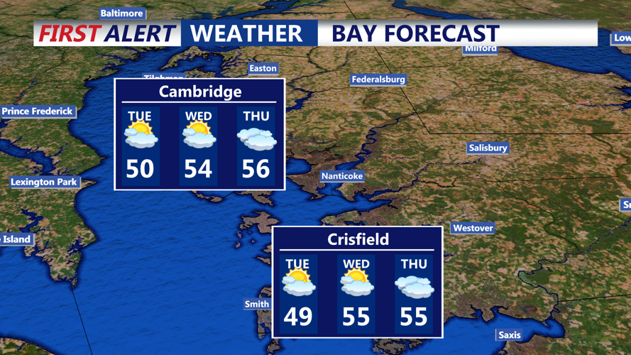 BAY FORECAST
