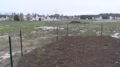 Chapel Green Conversion