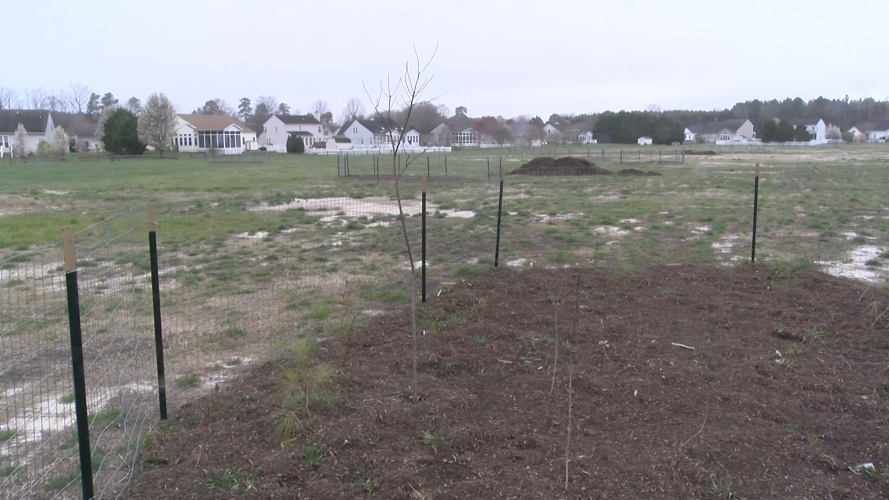Chapel Green Conversion