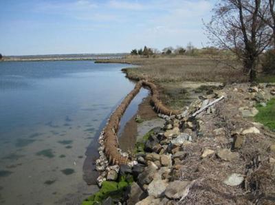 A picture of a living shoreline using oyster shells and biodegradable coconut-fiber coir logs.