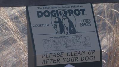 Bethany Beach to Address Pet Waste Problems