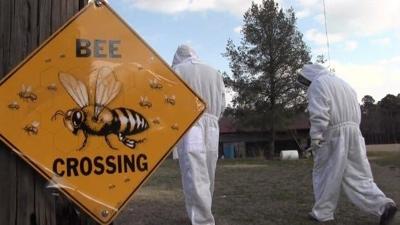 Hometown Heroes: Delaware Beekeeper's Association Keeps Honeybee Population Thriving