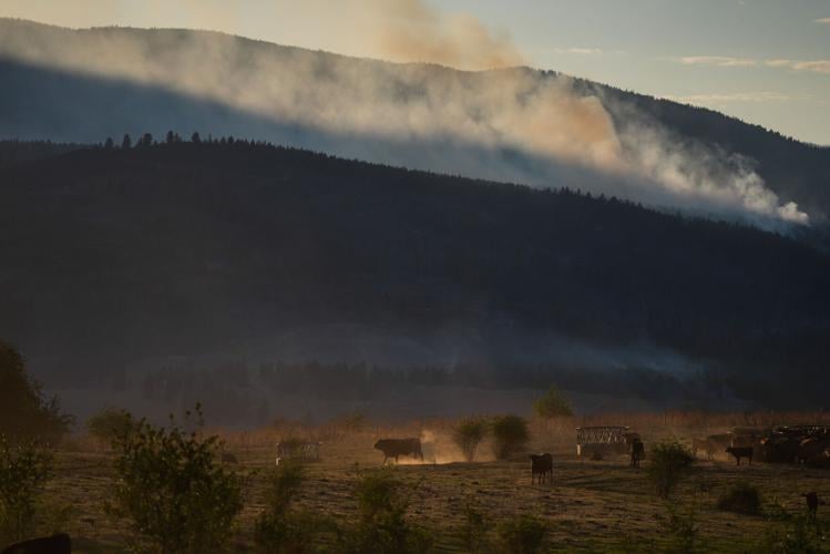 Canada Wildfires